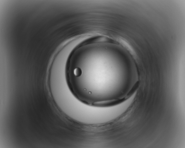 X0000088900948200706151845