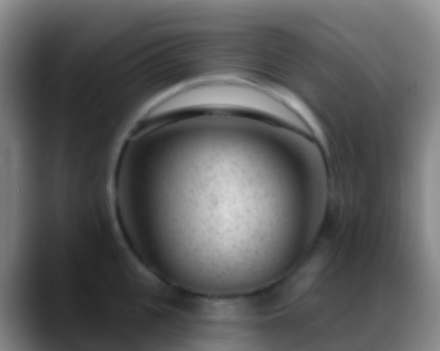 X0000088900951200706151845