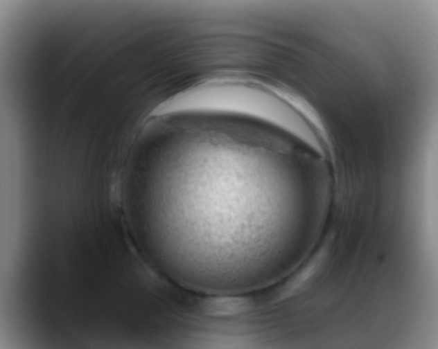 X0000088900953200706151845