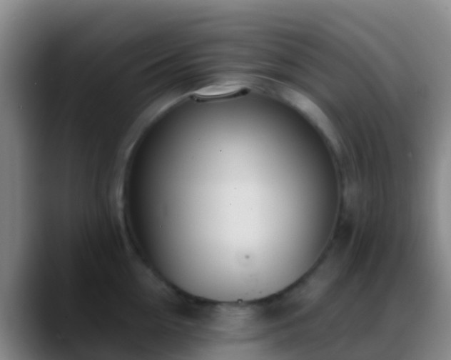 X0000088900954200706151845