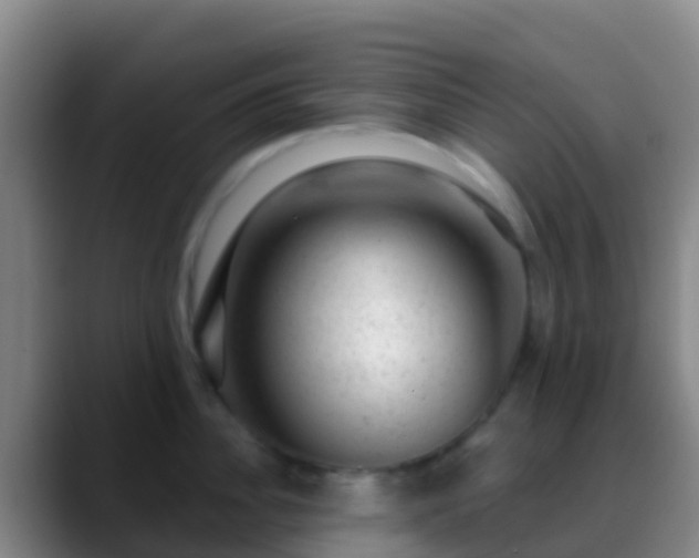 X0000088900956200706151846
