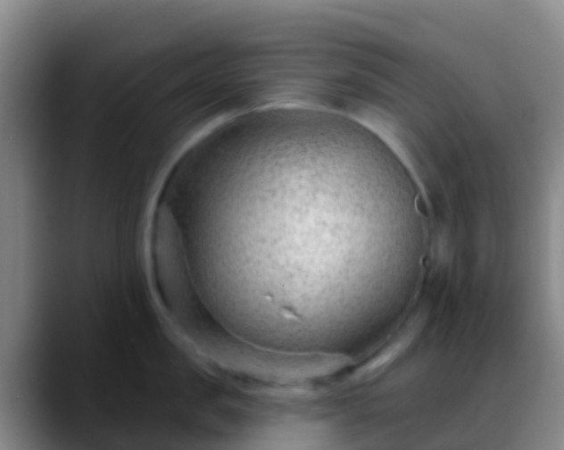 X0000088900957200706151846