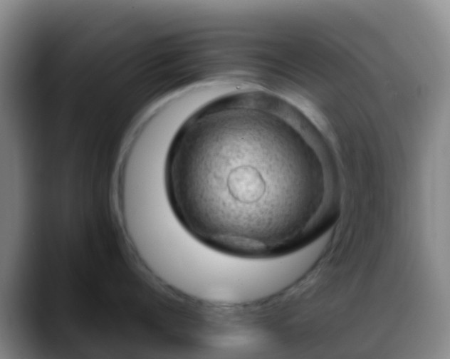 X0000088900960200706151846