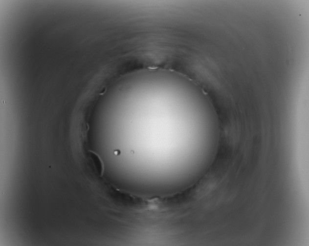 X0000088900961200706151845