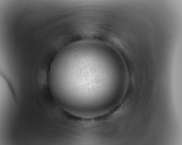 X0000088900964200706151845