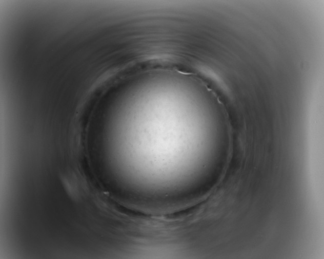 X0000088900968200706151845