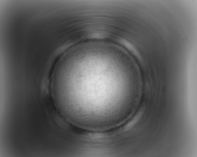 X0000088900970200706151845