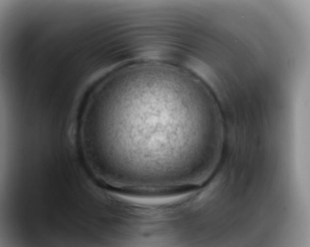 X0000088900971200706151845
