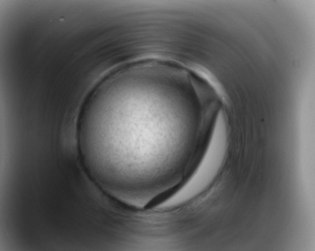 X0000088900972200706151845