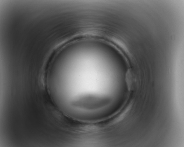 X0000088900974200706151845