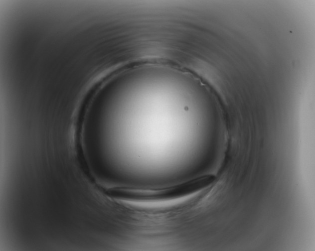 X0000088900975200706151845
