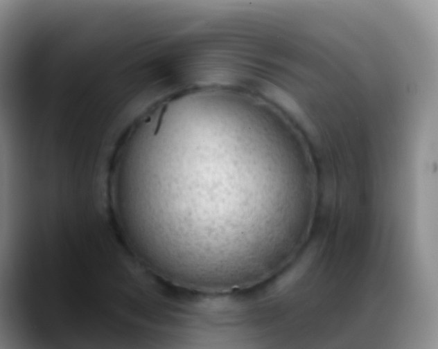 X0000088900978200706151845