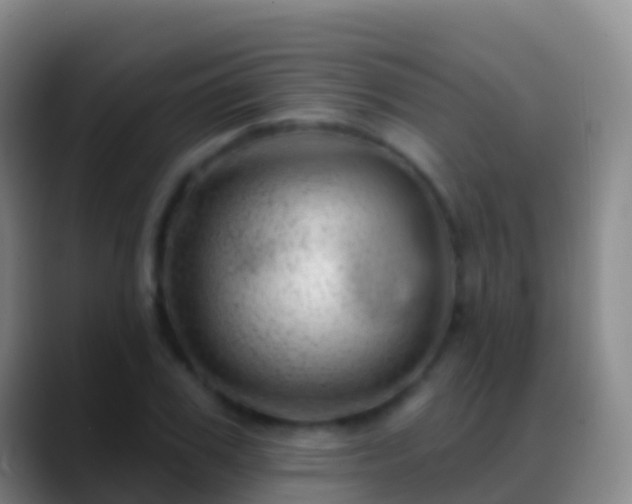 X0000088900979200706151845