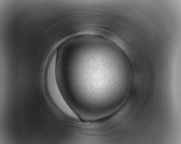 X0000088900980200706151845