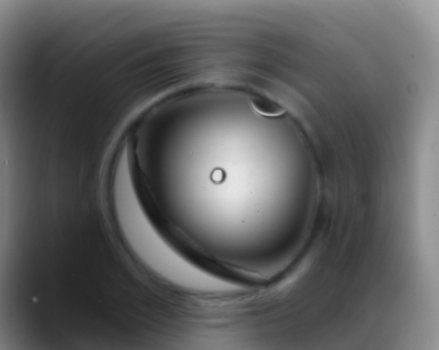 X0000088900981200706151845