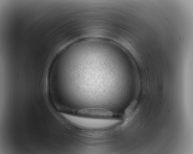 X0000088900982200706151845