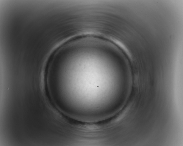 X0000088900983200706151845