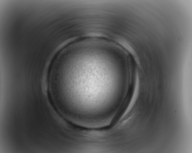 X0000088900984200706151845