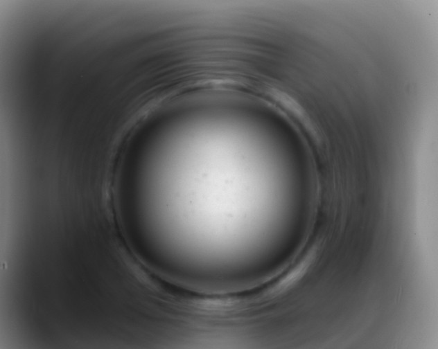 X0000088900985200706151845