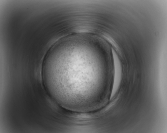X0000088900986200706151845