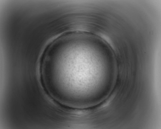 X0000088900987200706151845