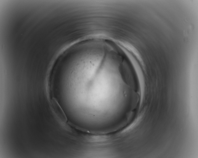 X0000088900989200706151845