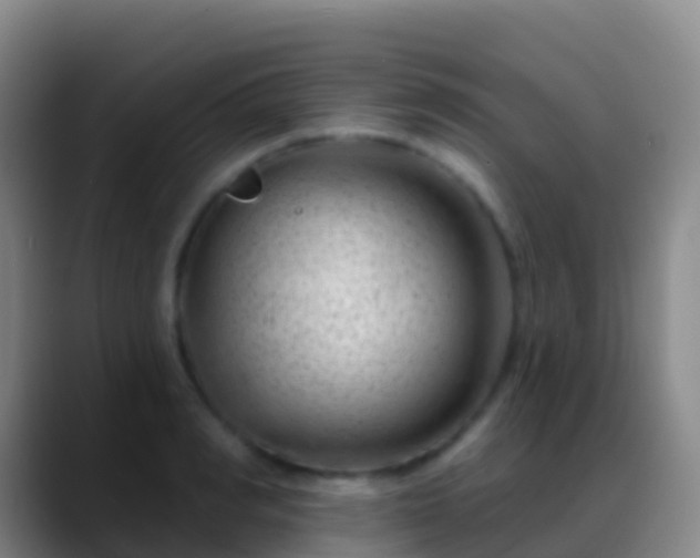 X0000088900990200706151845