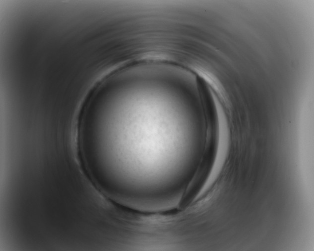 X0000088900992200706151845
