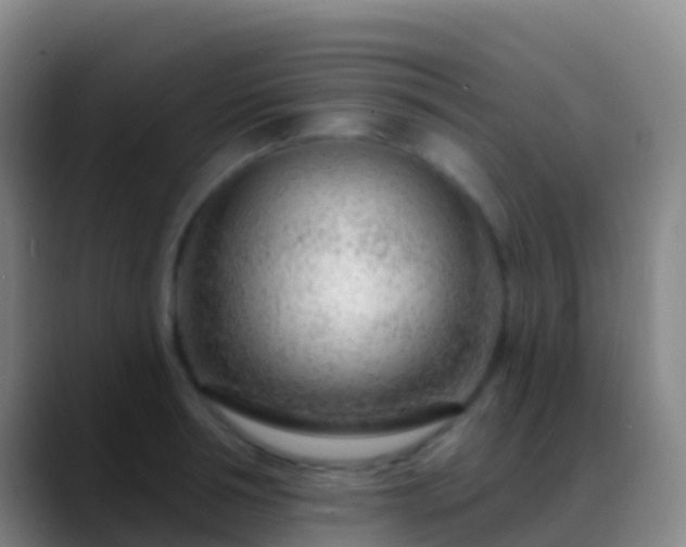 X0000088900994200706151845