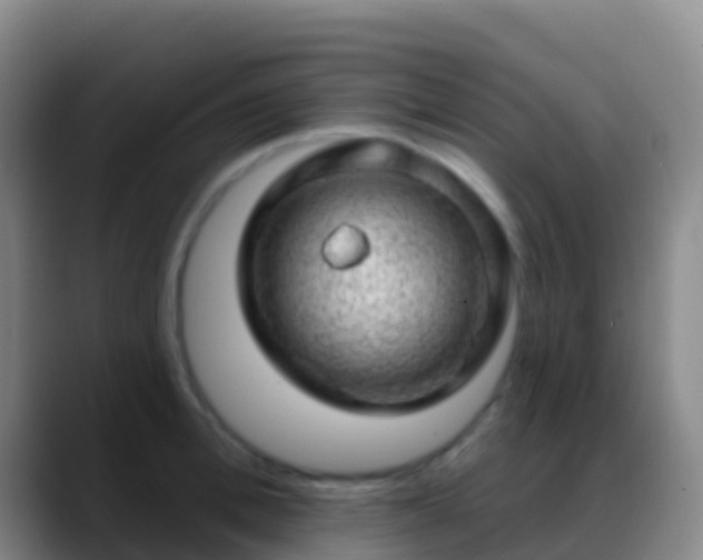 X0000088900996200706151845