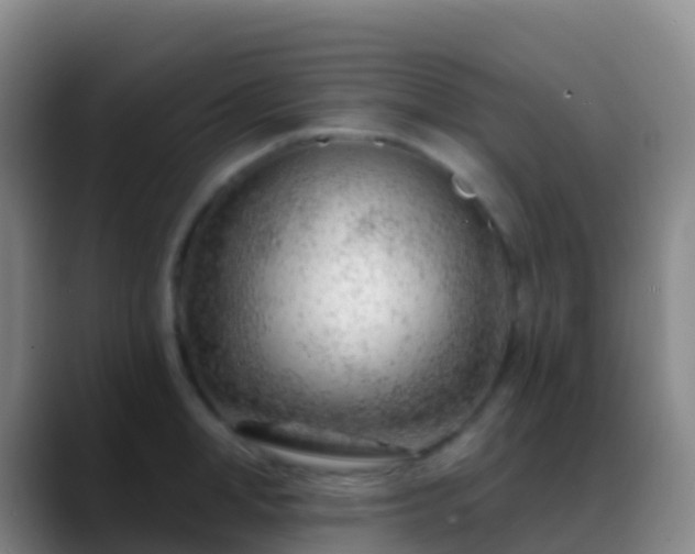 X0000088900998200706151845