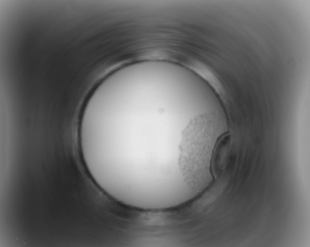 X0000088901000200706151845