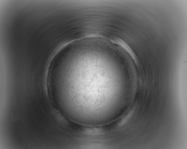 X0000088901002200706151845