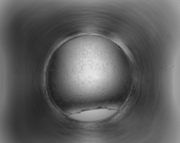 X0000088901004200706151845