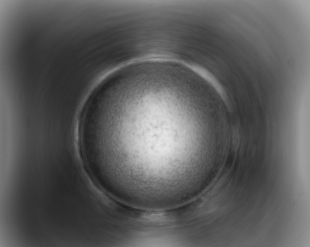X0000088901006200706151844