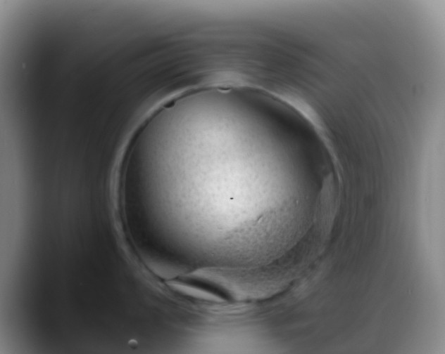 X0000088901008200706151844
