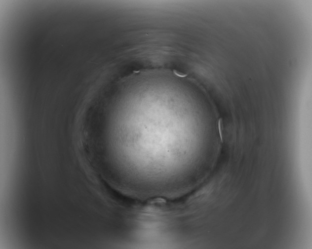 X0000088901009200706151844