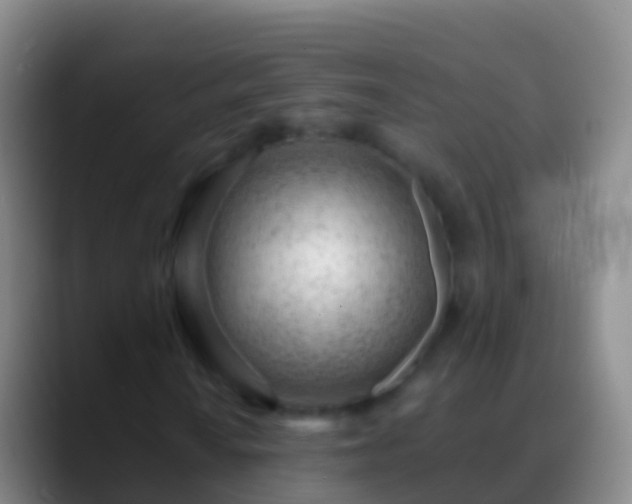 X0000088901010200706151844