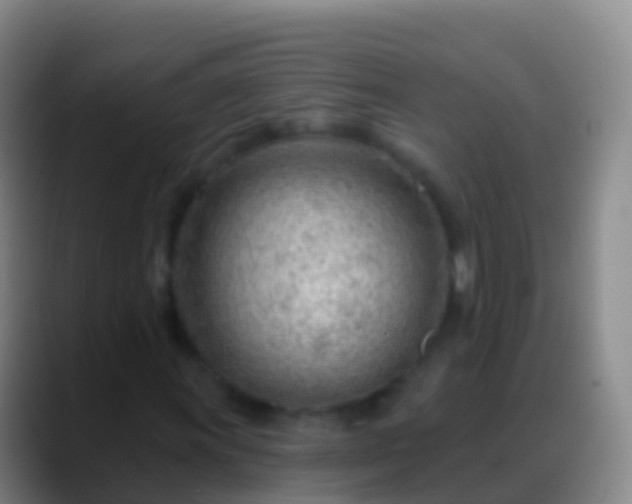 X0000088901011200706151844