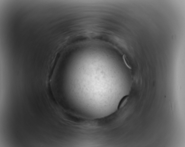 X0000088901012200706151844