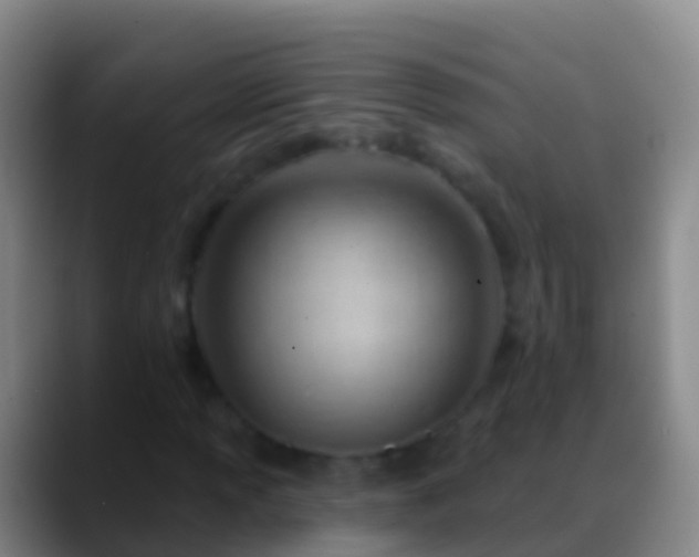 X0000088901013200706151844