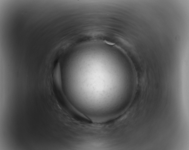 X0000088901014200706151844