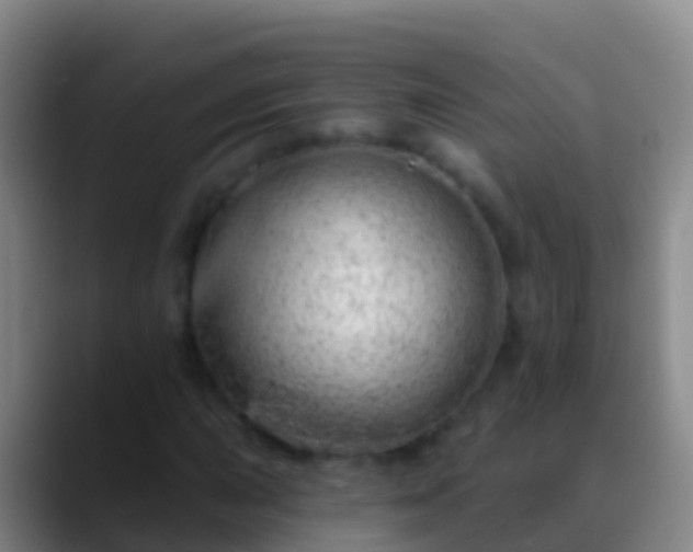 X0000088901015200706151844