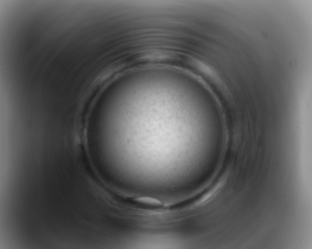 X0000088901017200706151844