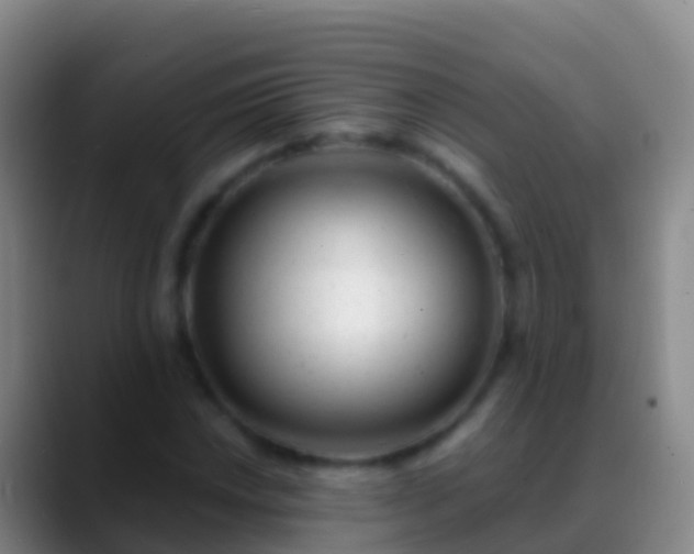 X0000088901018200706151844