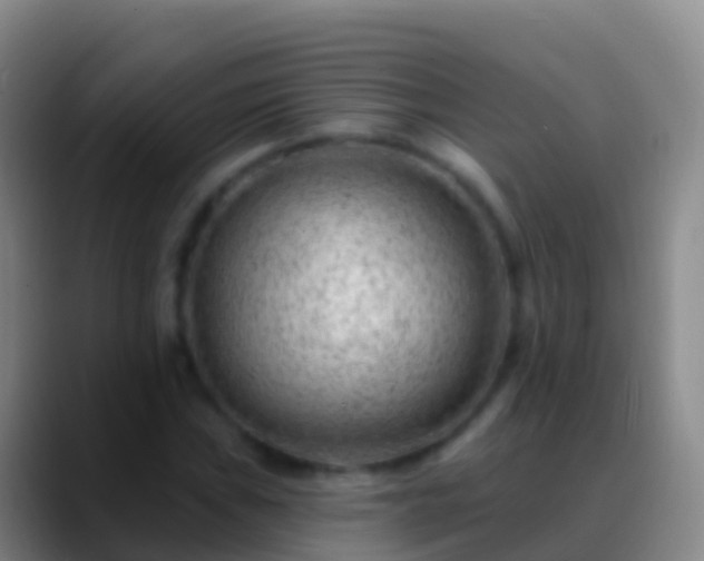 X0000088901019200706151844