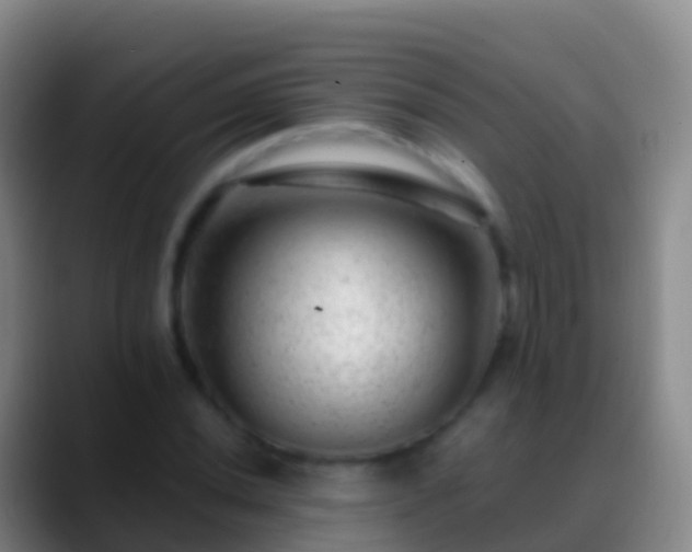 X0000088901020200706151844