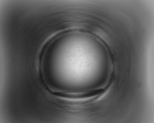 X0000088901021200706151844