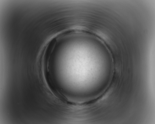 X0000088901022200706151844