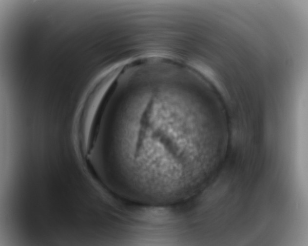 X0000088901024200706151844